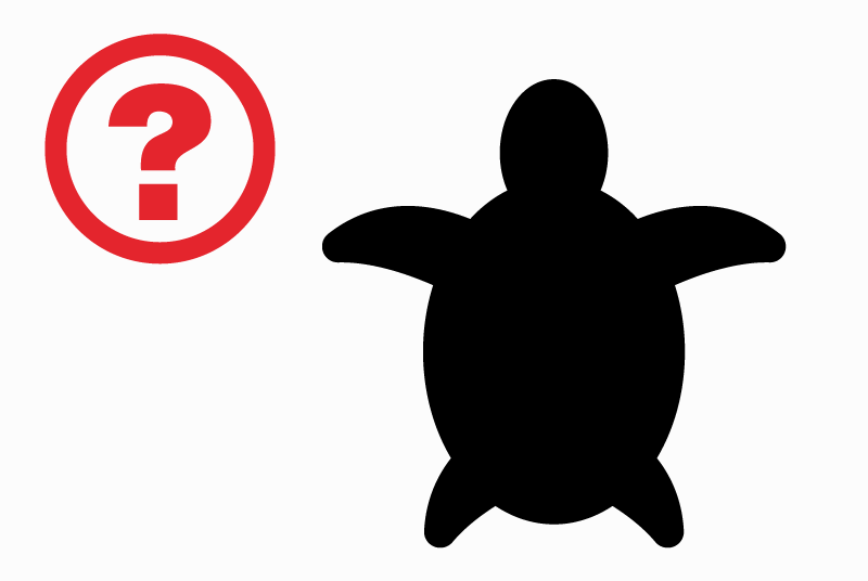 Alerte Découverte Tortue Inconnu Senlis France